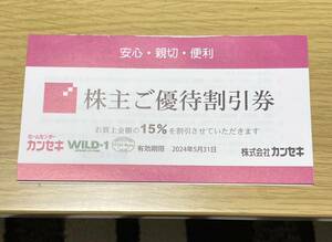 カンセキ ワイルドワン 株主優待券　1枚　有効期限2024年5月末　WILD-1 ホームセンター　アウトドア　キャンプ