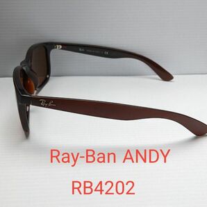Ray-Ban　ANDY　RB4202