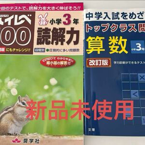 ハイレベ100小学3年&トップクラス問題集3年