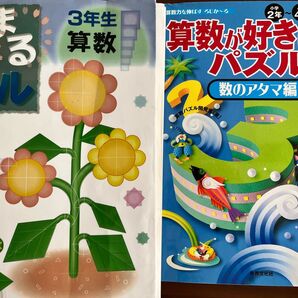 はなまるリトル 3年生 算数　算数が好きになるパズル　セット