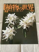 【古本/4冊】週刊朝日百科 植物の世界 49,51,52,53 ◇ 朝日新聞社_画像5