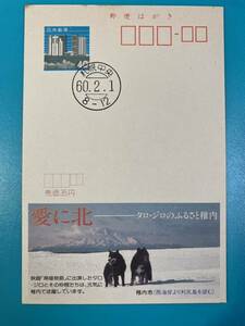 広告エコーはがき★1枚80円札幌中央(稚内市タロ、ジロ愛に北(北海道)