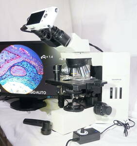 オリンパス 最高級 生物顕微鏡BX40　暗視野観察＆偏光観察も可能！LED照明　対物レンズ4本 リモコン（ブレ防止）付きSONYデジカメ、モニタ