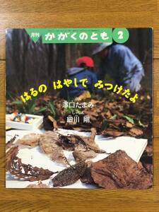 かがくのとも★335号　はるの はやしで みつけたよ★澤口たまみ　ぶん / 細川剛　しゃしん