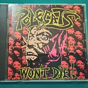 【廃盤レア】ポールキャッツ　「WON'T DIE」 POLECATS CD ネオロカビリー　モリッシー　MORRISSEY