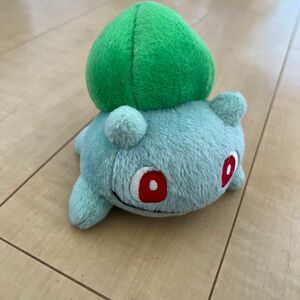 ポケモン ぬいぐるみ　かくしだね　ポケットモンスター　