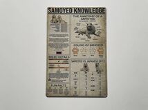 ブリキ看板 20×30㎝ いぬ イヌ 犬 猛犬 サモエド Samoyed Knowledge Poster the anatomy of samoyed 図鑑 説明 インテリア 新品 PRO-487_画像6