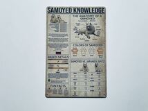 ブリキ看板 20×30㎝ いぬ イヌ 犬 猛犬 サモエド Samoyed Knowledge Poster the anatomy of samoyed 図鑑 説明 インテリア 新品 PRO-487_画像4