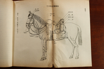 戦前　兵器学教程　馬具　附図　陸軍工科学校　昭和15年　旧軍人宅より引取13 日本軍 軍馬 兵器 機関銃 大砲 検) 中国 満州 支那事変_画像4