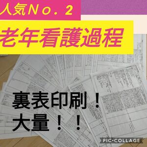おすすめ No.1☆人気No.2老年看護学実習 看護過程 アセスメント