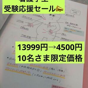 10名様限定価格！！受験生応援セール看護師国家試験　付箋ノート　まとめノート