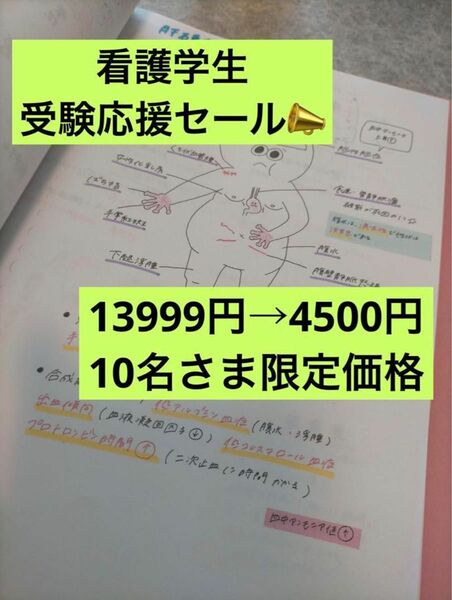 10名様限定価格！！受験生応援セール看護師国家試験　付箋ノート　まとめノート