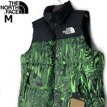 1円～!売切!【正規新品】THE NORTH FACE◆1996 RETRO NUPTSE VEST ダウンベスト US限定 ヌプシ 2023最新 防寒(M)緑 黒 総柄 190122-115_画像1