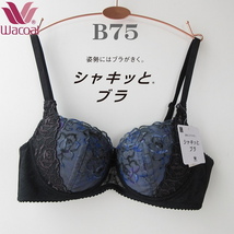 定価6600円　B75　ワコール (Wacoal) シャキッとブラ 3/4カップブラジャー　シャキッとした姿勢と美しいシルエット ワコール B75_画像1