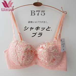 定価6600円 B７５ ●　ワコール (Wacoal) シャキッとブラ 3/4カップブラジャー　シャキッとした姿勢と美しいシルエット ワコール B75