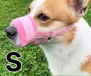  dog for muzzle; ferrule uselessness .. pink S