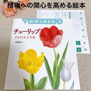 福音館書店　絵本　チューリップ　きゅうこんとたね　新品未使用　ひな祭り　入学　ギフト