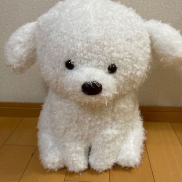 ぬいぐるみ トイプーのモコフィー