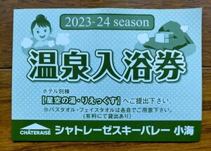 即決 シャトレーゼスキーバレー 小海 星空の湯 りえっくす 入浴券 複数枚対応可