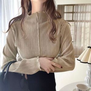 tシャツ Tシャツ 上品な光沢感。2wayメロープリーツハイネックトップス