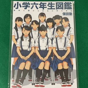 小学六年生図鑑_保田塾_伸長に関する考察