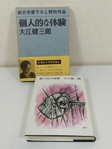 370-C2/個人的な体験/大江健三郎/新潮社/昭和47年 函入 帯付