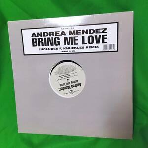 12' レコード Andrea Mendez - Bring Me Love
