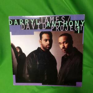 LP レコード Darryl James / David Anthony - Project 1