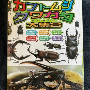 カブトムシ・クワガタ大集合 （こども写真ひゃっか） 飯島和彦／監修