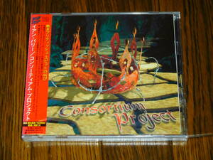 廃盤 未開封新品 IAN PARRY / CONSORTIUM PROJECT 国内盤 CRCL-4508 ELEGY KAMELOT AYREON VENGEANCE VANDEN PLUS