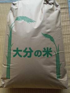 新米　令和５年度 大分県産　つや姫 　玄米30kg(10kg×3袋可）段ボール箱発送　 減農薬（田植後の病虫害消毒１回） 野菜付き　農家直送