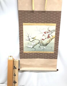 真作　掛軸 小泉紅月 紅白梅 共箱 日本画 外箱付き 軸装 古美術 美術品 アート 骨董 工芸品 書道 尺八横 書 室D0201-23