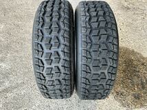 ダンロップ　56R 195/65R15 2本　ラリースタッドレス_画像1