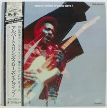 LP,アルバートコリンズ　ALBERT COLLINS　フローズンアライブ!_画像1