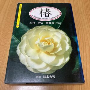 椿 （京都書院アーツコレクション　１９　写真　３） 木村智／編　槙野尚一／写真