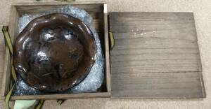 桃山時代 古伊賀 古志野 絵志野 古織部 皿 茶碗 強烈な釉景 窯印あり 破格の桃山茶陶 箱
