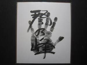 大相撲　琴乃峰　十両　手形　サイン　288