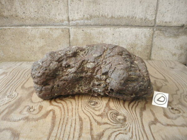 自然石　川石　マクラ型 中（23㎝）12,7㎏　Ｄ　　　水石　盆石　庭石　観賞石