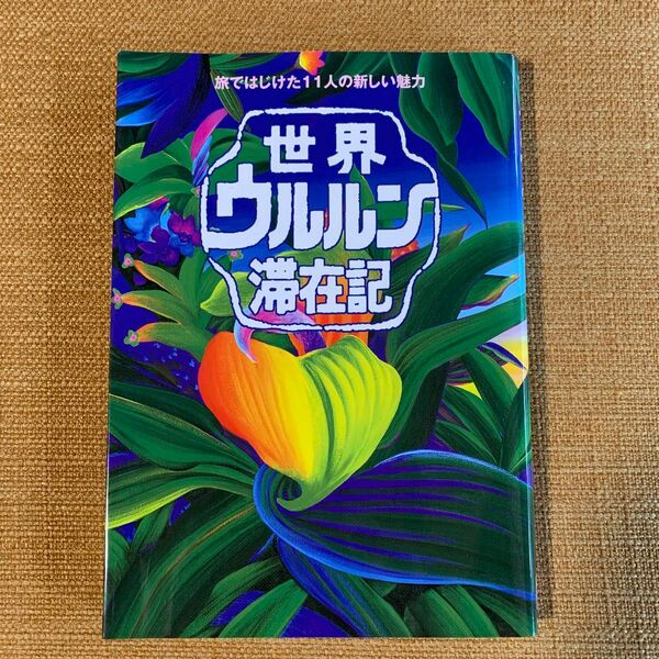 未読 美本 世界ウルルン滞在記 旅ではじけた11人の新しい魅力 TBS