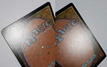 Magic:The Gathering/PTK 的盧馬/中国語 簡体字 _画像10