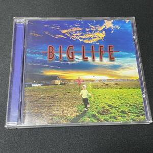 ☆彡廃盤/NEWMAN関連◆HR,メロハーAOR◆BIG LIFE/BIG LIFE