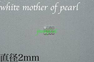 サイドポジションマーク 直径2mm 12個＋1個ホワイトマザーオブパール white mother of pearl インレイ ギター ベース ネック 指板 自作