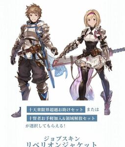 迅速対応 グランブルーファンタジー リリンク シリアルコード グラブルスペシャルアイテムセット Relinkパック グラブル シリアル グラブル