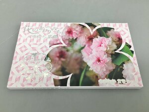 造幣局 貨幣セット 花のまわりみち 八重桜イン広島 令和四年 2022 兼六園菊桜 ミントセット 未使用 2312LT125