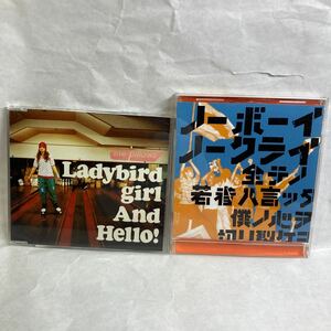 CD2枚セット ザ・ピロウズ l LADYBIRD girl STANCE PUNKS ノーボーイ・ノークライ スタンスパンクス アルバム 絶版廃盤音源