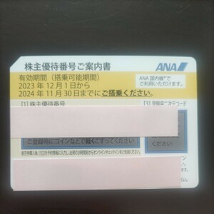 ★郵送も可　ANA　株主優待　航空チケット　割引券