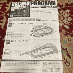 JRAレーシングプログラム2024.1.7(日)フェアリーステークス(GⅢ)、すばるステークス(L)