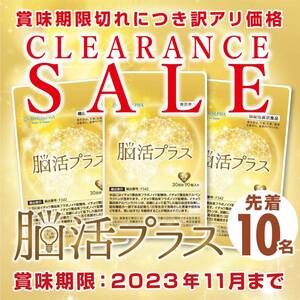 訳あり 最終在庫処分 クリアランス 先着10名 ペルルアルファ 脳活プラス 賞味期限2023年11月迄 ３袋セット 機能性表示食品 イチョウ葉