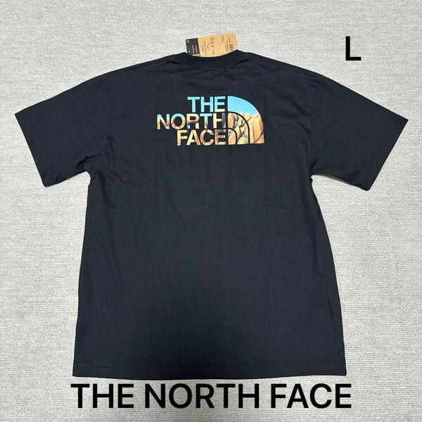 THE NORTH FACE バック ロゴ Tシャツ 半袖 Lサイズ