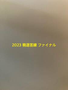 2023 司法書士 精選答練 ファイナル 択一 記述 全科目